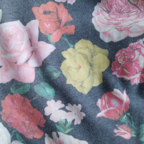 Wildfox Queen's Garden Knox Pants - NWT - Picture 2 of 5